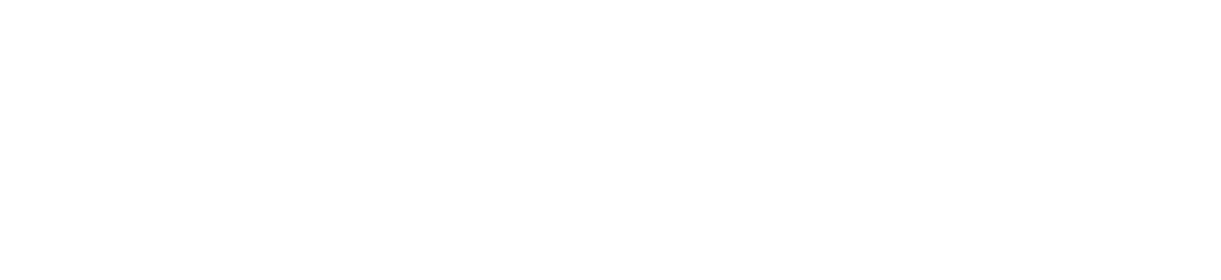 Vibra Company